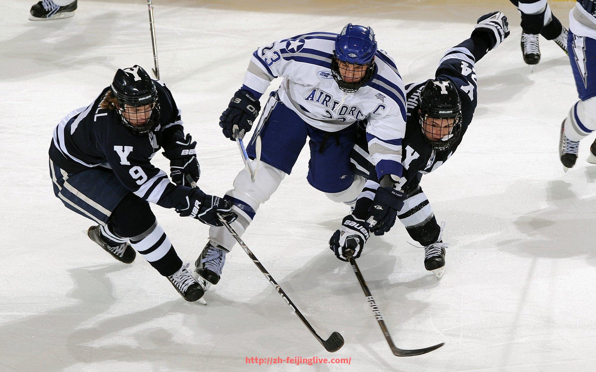 飞鲸体育直播-火箭队莫泰尤纳斯个人资料与职业表现