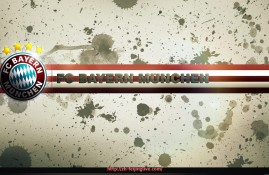 飞鲸体育直播-五站式综合健身器材功能介绍及适用人群