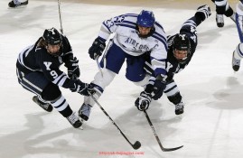 飞鲸体育直播-火箭队莫泰尤纳斯个人资料与职业表现