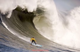 飞鲸体育直播-健身器材最好的选择：如何挑选最适合自己的健身器材？